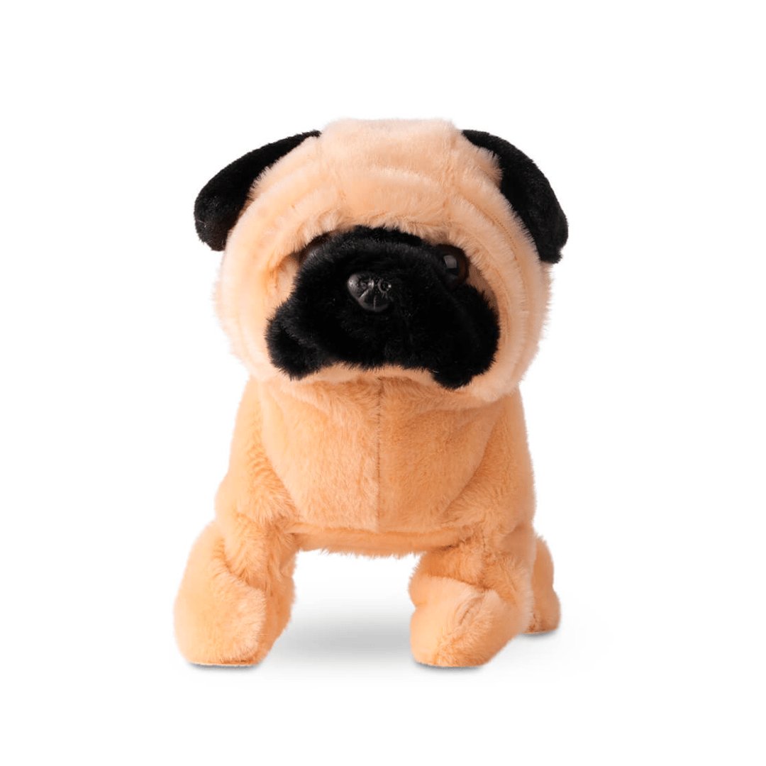Fuzzbuzz Pugs At Play - Peanut The Pug