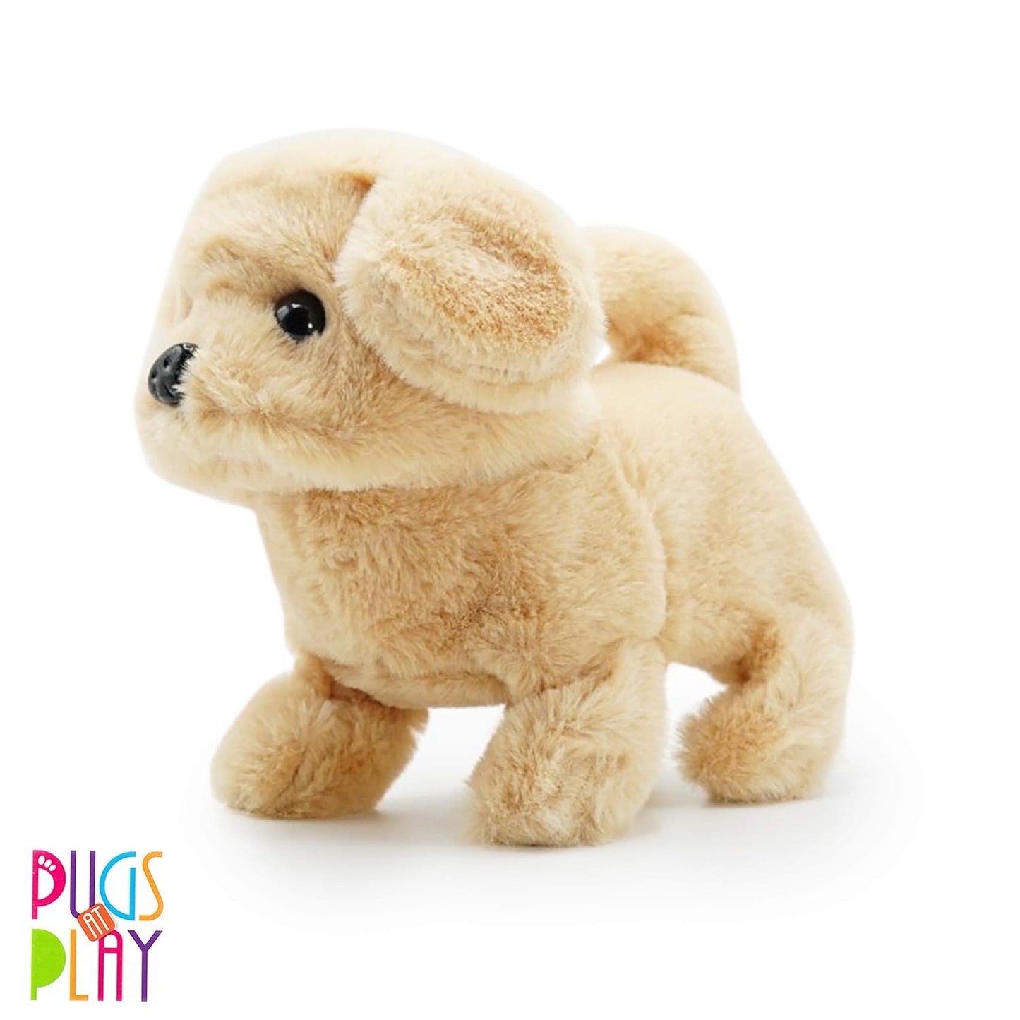 Fuzzbuzz Pugs At Play Goldie The Walking Dog And My First Shaped Board Book Dog