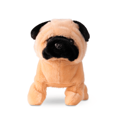 Fuzzbuzz Pugs At Play - Peanut The Pug
