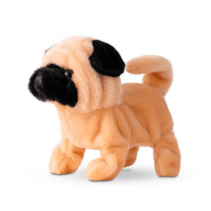 Fuzzbuzz Pugs At Play - Peanut The Pug