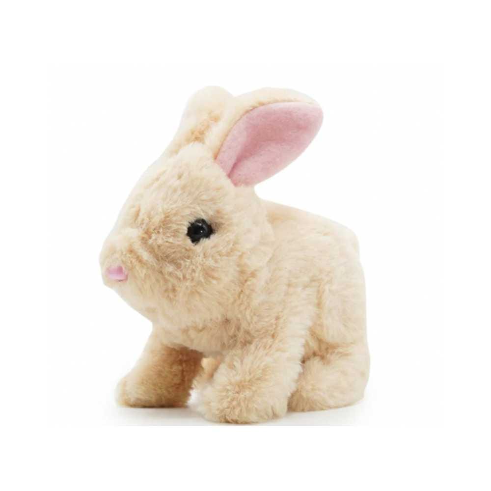 Fuzzbuzz Pugs At Play Cookie - The Jumping Hare