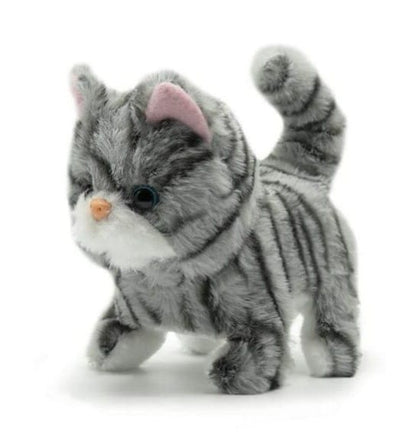 Fuzzbuzz Pugs At Play - Zoe the cat