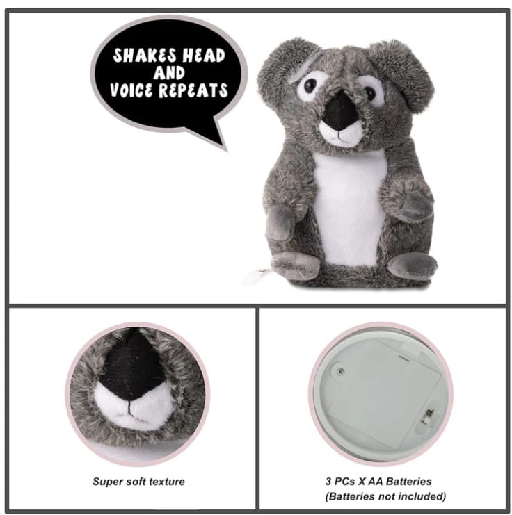 Fuzzbuzz Pugs At Play - Joey The Talking Koala